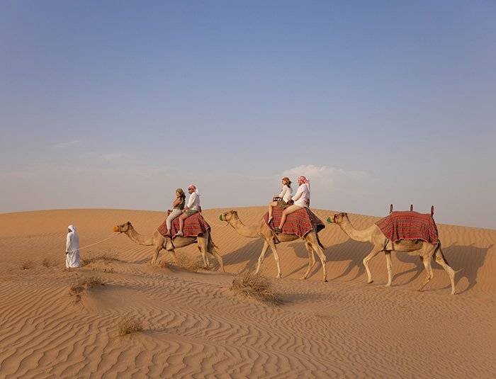 Explore the Best Dubai Desert Safari Packages | Get 40% Off
