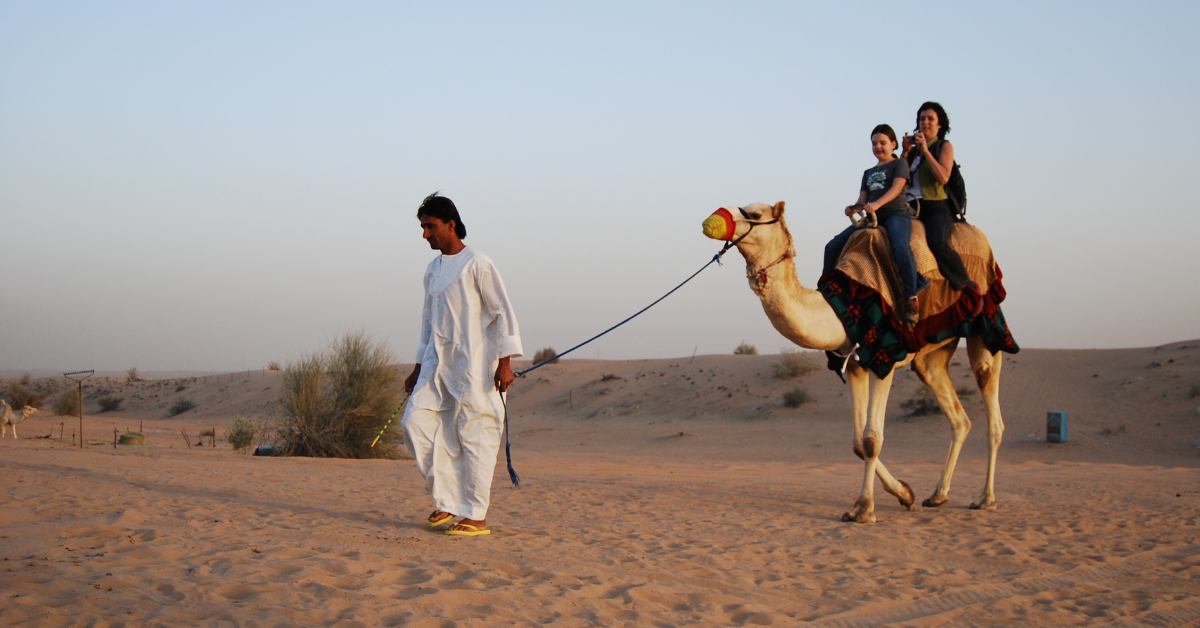 Exploring Dubai’s Camel Ride Tour: A Unique Desert Experience