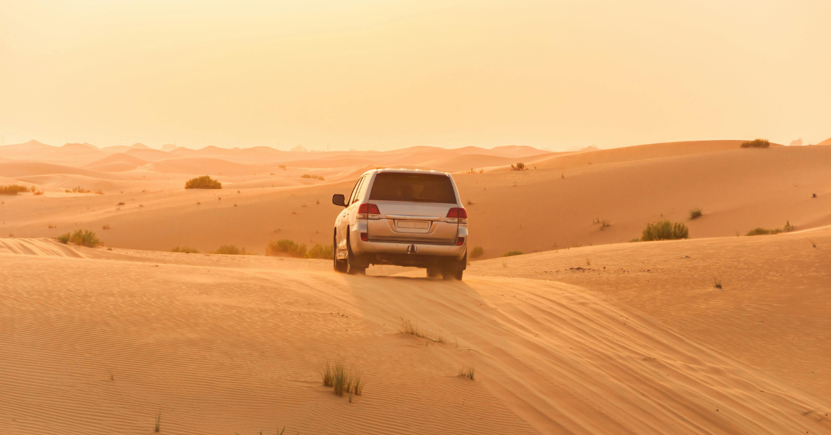 Morning Desert Safari Dubai Full Package Adventure